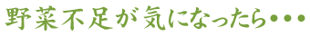 野菜不足が気になったら・・・